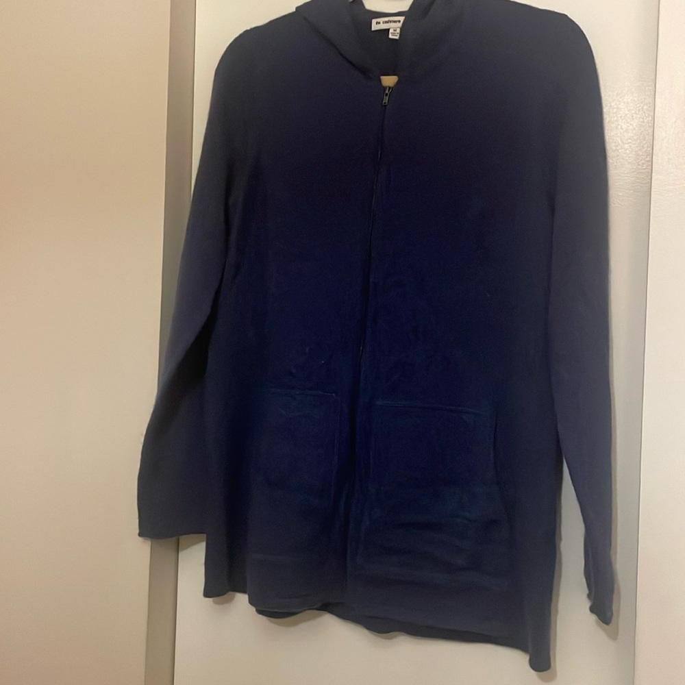 The cashmere project sweater with hood